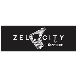 Zelocity Logo